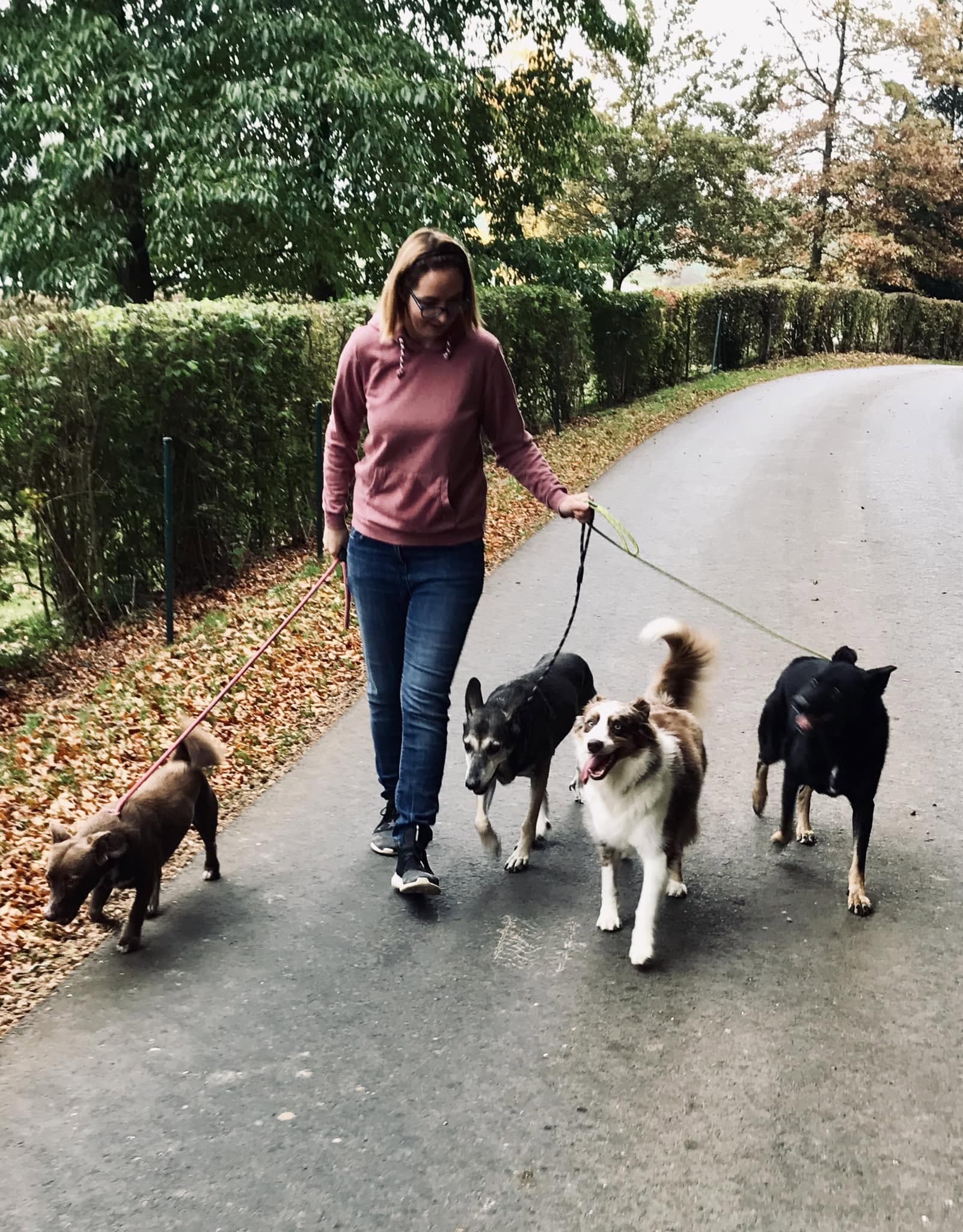 Dog-walking