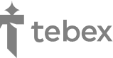 logo tebex.io